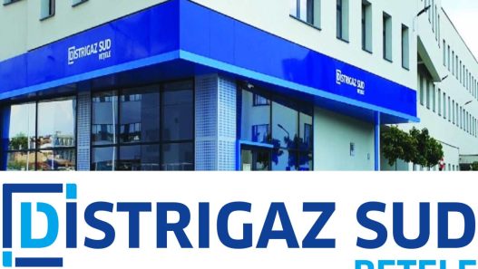 Echipa interventie Distrigaz Sud Retele la o avarie gaze 2026