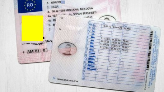 Sofer completand test grilă pentru redobandire permis auto la politie 2026