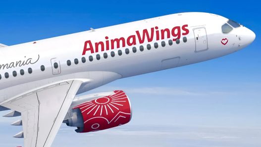 Pasager verificând dimensiunea bagajului Animawings la aeroport