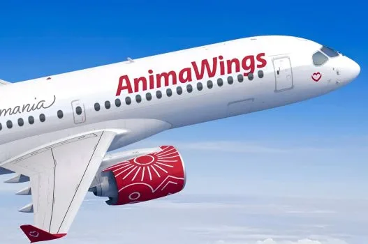 Animawings - Dimensiuni bagaje