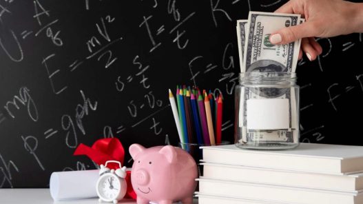 Bursa profesională 2026