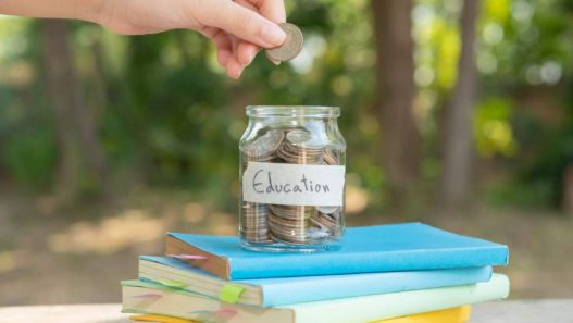 Cum se obține alocația pentru copii din diaspora