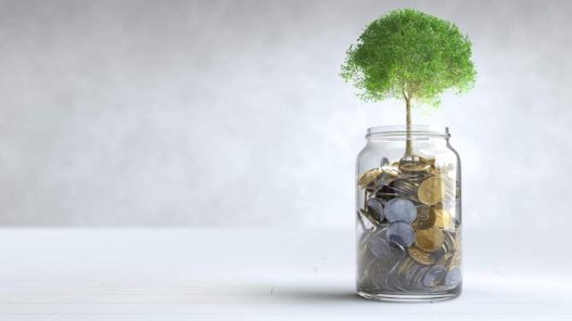 Granturi pentru tinerii cercetători în 2025